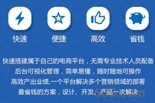 b2c商城系统定制 高端商城网站建设自适应商城购物一条龙全包pc站 手机站 微信站